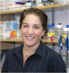 Melissa Harrison, Ph.D